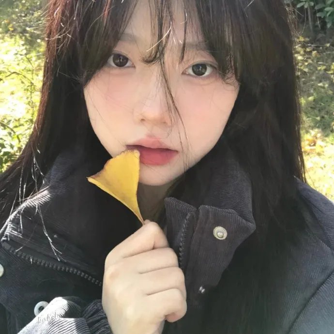 夏日最后的玫瑰